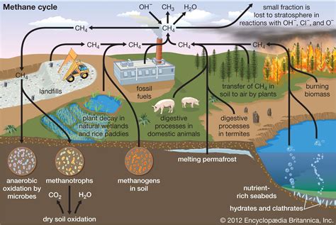 Methane as a Greenhouse Gas - Treehugger