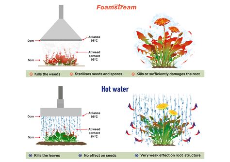 Method and apparatus for weed control with hot foam