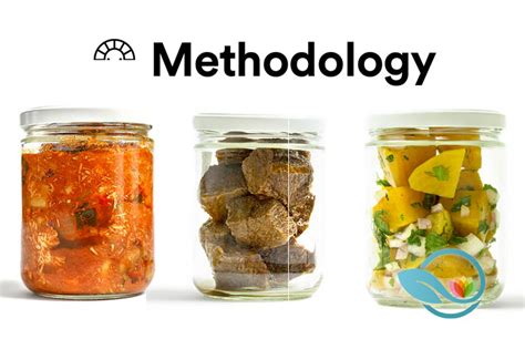 Methodology food