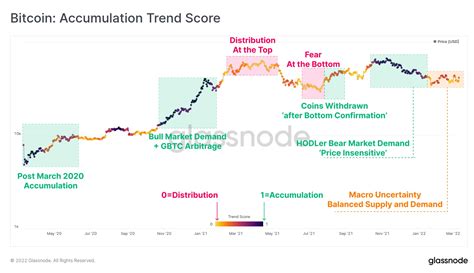 consistently trends guide