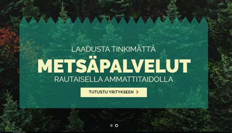 Metsäpalvelut Lapista - A-Metsä ja tie Oy