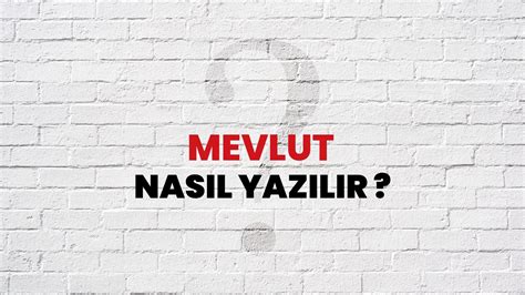 Mevlut Halı ve Koltuk Yıkama