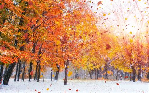 Mevsimlerden Sonbahar İklim; Hüzün ve Melankoli.