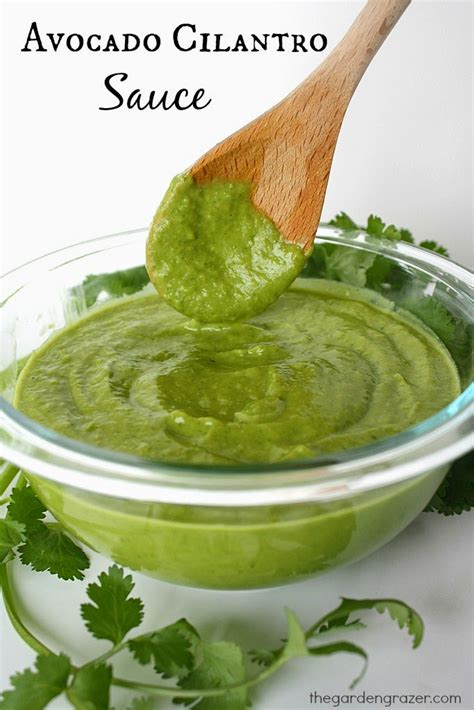 Mexican Avocado Cilantro Sauce-Diabetes Friendly » Foodom