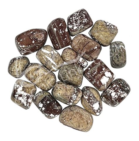 New Vein Laguna Lace Rough. Price: $6.00 / 1 Pound. In stock: 0 pounds! Detail. View more. 1. 2. Weh have rough agate stone for sale here. We have over 45 years of experience in networking, and working closely with the miners. Visit us.. 