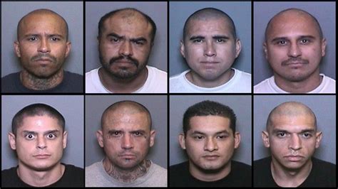 Mexican mafia. Things To Know About Mexican mafia. 