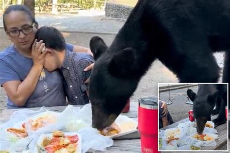 Mexican mother bravely shields her son as bear leaps on picnic table to devour tacos and enchiladas