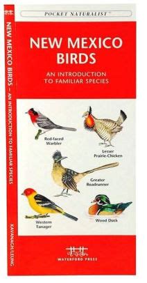Mexico birds a folding pocket guide to familiar species pocket. - Elogio della lentezza by carl honore.
