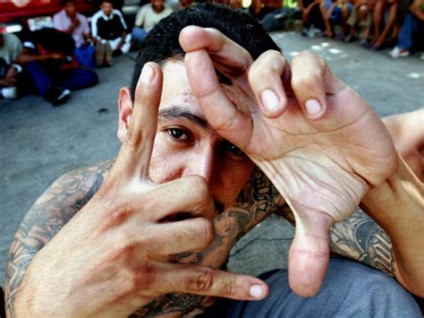 Mexico gang signs. The Mexican mafia is perhaps one of the most pervasive gangs in the entire Mexican prison system. Their main tattoo depicts an eagle holding the snake in its mouth, usually perched high on top of the letters gang letters E.M.E. or M.M. Many designs also have images of guns, naked women, or three dots. These designs represent recklessness, power ... 