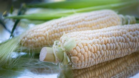 Mexico imposes 50% tariff on white corn imports amid trade dispute with U.S. and Canada