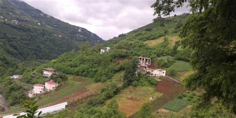 Meydankaya Halı ve Koltuk Yıkama