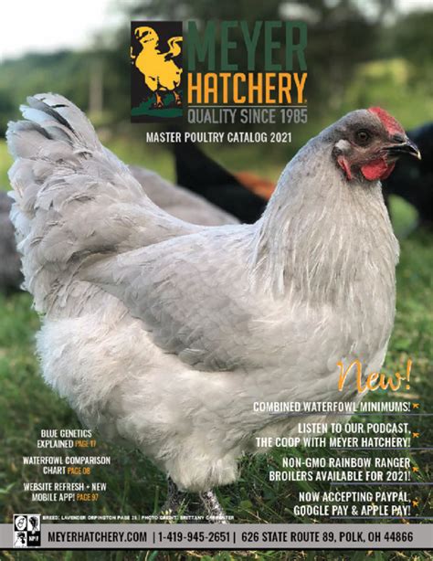 To purchase Turkey Poults at Meyer Hatchery, shop our website. . Meyerhatchery