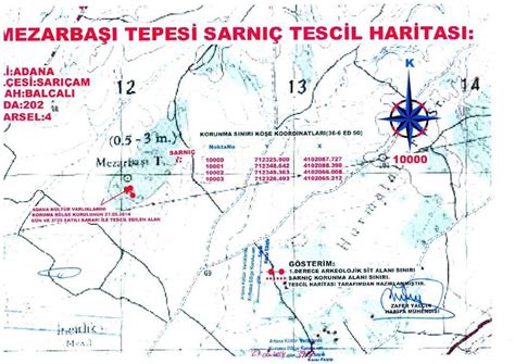 Mezarbasi Halı ve Koltuk Yıkama