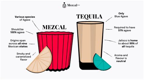 Mezcal vs Tequila: The difference & The History of Tequila and …