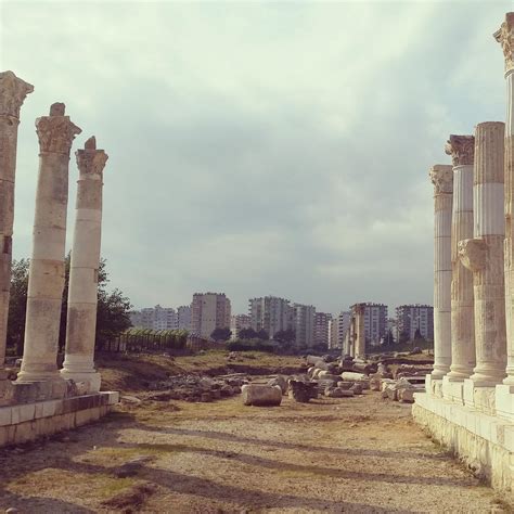 Mezitli terapi halı yıkama