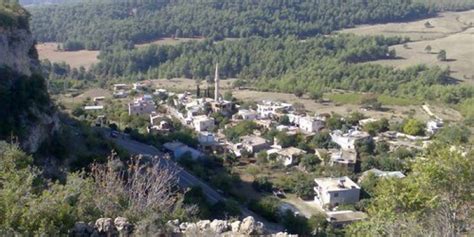 Mezitli Cemilli terapi halı yıkama