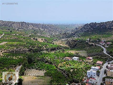 Mezitli Doglu terapi halı yıkama