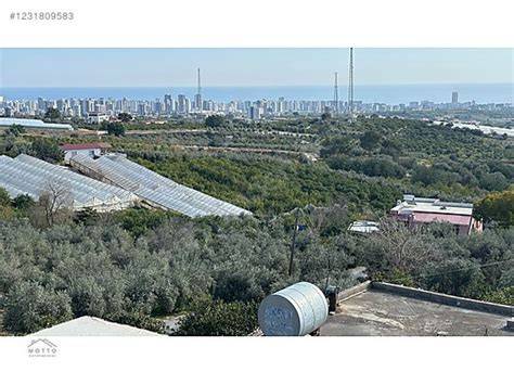 Mezitli Esenbaglar terapi halı yıkama