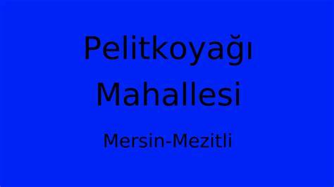 Mezitli Pelitkoyagi terapi halı yıkama