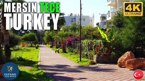 Mezitli Tece terapi halı yıkama
