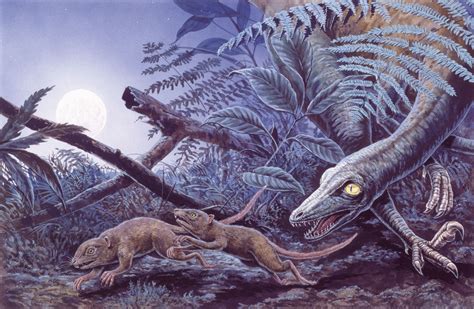 The Mesozoic Era comprises the Triassic, Jurassic, and Cretaceous pe
