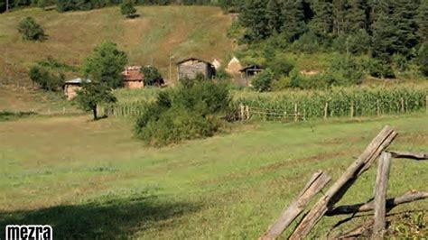 Mezra Halı ve Koltuk Yıkama