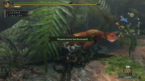 Gigginox is a Flying Wyvern introduced in Monster Hunter 3. Gigginox is similar to Khezu, in that they are blind, cave-dwelling wyverns. However, Gigginox does not sense prey by smell; instead, it has a special organ that can detect the body heat of its prey. Gigginox is wide and flat, unlike Khezu, which is bulky and has large fat reserves. Also, Gigginox …. 