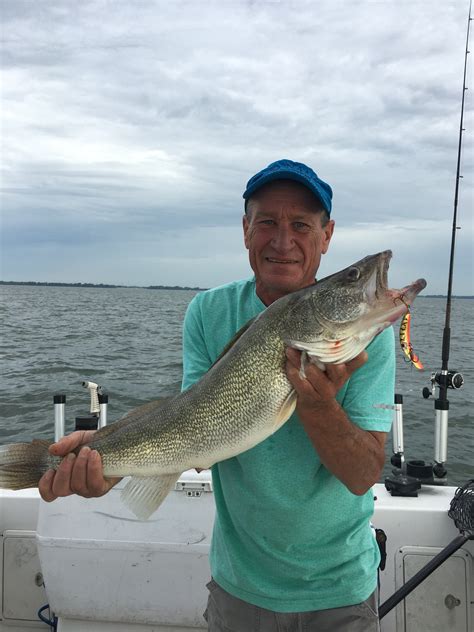 Saginaw Bay Area Fishing Report - Michigan Tributaries/Inland Lakes Report. Home Fishing Forum The Insider - Membership Required Michigan Tributaries/Inland Lakes Report.. 