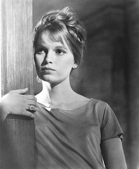 Mia farrow nude. Mia Farrow. Actress: Rosemary's Baby. Mia Farrow is the daughter of the director John Farrow and the actress and Tarzan-girl Maureen O'Sullivan. She debuted at the movies in 1959 in very small roles. She was noticed for the first time in the film Rosemary's Baby (1968) by Roman Polanski. She showed her talent also on TV and at the theatre, but her final breakthrough was when she met Woody Allen... 