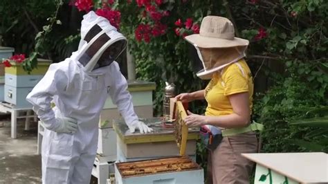 Miami Bee Experts share their efforts to keep bee population alive — and how you can help