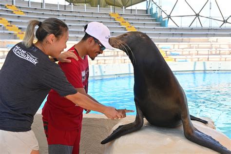 Miami Lighthouse Summer Program students experience animal encounter at Miami Seaquarium