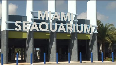 Miami Seaquarium announces preparations to expand visitor experiences