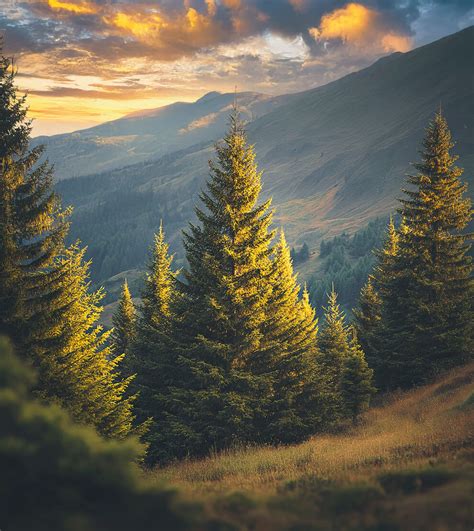 Miami herald obituaries.  Local Obituaries Stuart Weissman, Miami-Dade Bar...