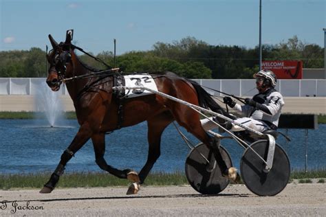 Miami Valley Raceway, which has a 156-stall paddock, will host the James K. Hackett races for Ohio-sired 3-year-old colts and fillies, with purses increased to $25,000 for the finals, on April 26.