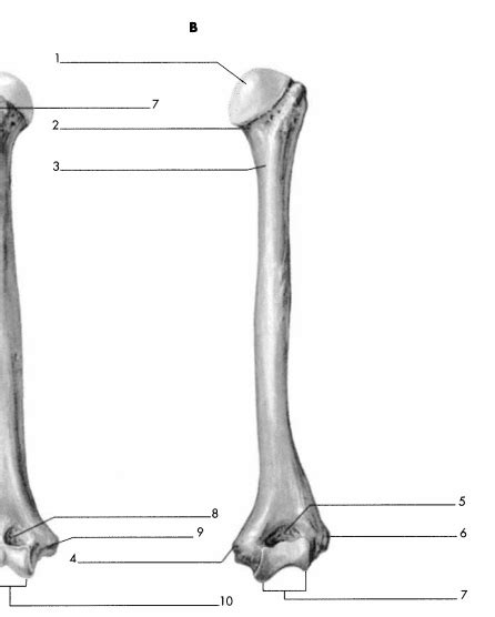 💋 Micaaal Leaks [CLIP] 161 Vids