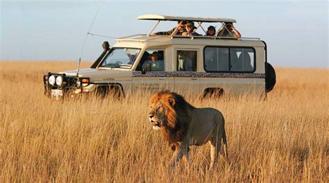 Micato safaris. The Micato Grand Safari. 15 Days from $32,650 per person. The Hemingway Wing Safari. 14 Days from $26,400 per person. The Stanley Wing Safari. 16 days from $27,400 per person. Tanzania Spectacular. 10 Days from $16,600 per person. The Heart of Kenya & Tanzania. 12 Days from $19,900 per person. 