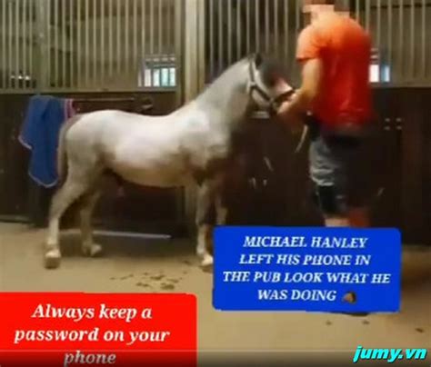 michael hanley viral horse video