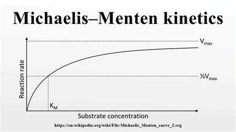 Michaelis-Menten Kinetics - The Michaelis–Menten Model