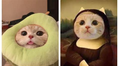 Michi Leaked XxX 💋 29 Photos