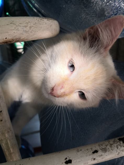 💋 Michi.Sonne Leaked +18