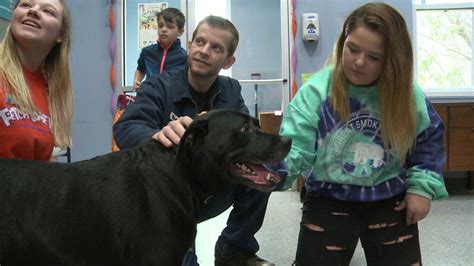 Michiana humane society. Published: May. 13, 2023 at 8:37 PM PDT. MICHIGAN CITY, Ind. (WNDU) - It doesn’t get much better than “barks and brews” as the Michiana Humane Society holds its third “Pets & Pours ... 