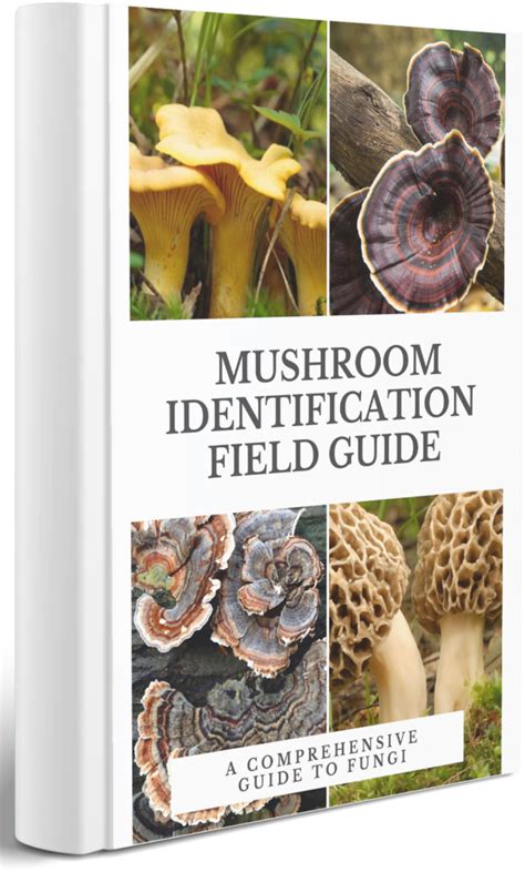 Michigan Mushroom Field Guide