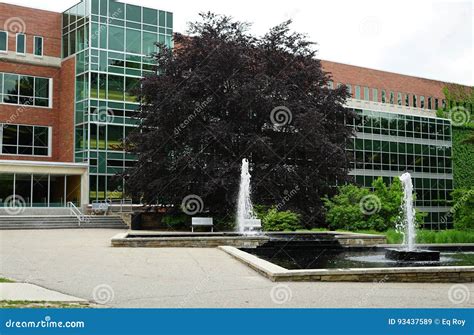 Michigan State University East Lansing, United States MSU