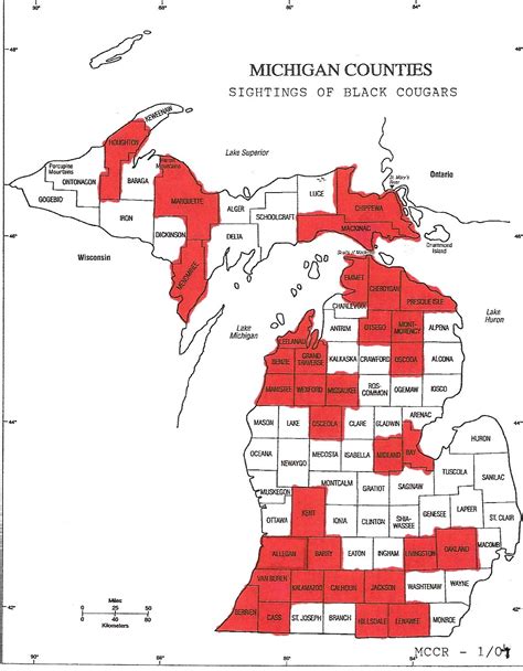 Michigan cougar sightings 2023 map. Things To Know About Michigan cougar sightings 2023 map. 