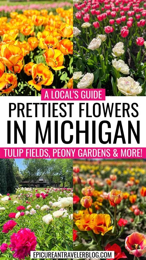 Michigan in Bloom Guide: When and Where to See …