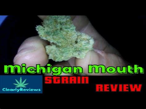 Michigan mouth strain. Things To Know About Michigan mouth strain. 