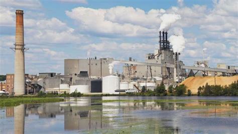 Michigan paper mill temporarily closes due to fungal illness