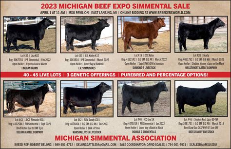 Michigan simmental sale.  It&rsquo;s a priority and commitment from the Michigan Simmen...