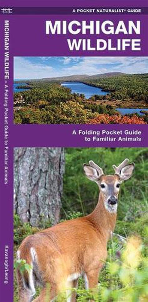 Michigan wildlife an introduction to familiar species state nature guides. - 1001 walks in britain aa guides.