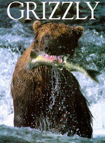 Michio Hoshimo tracks a